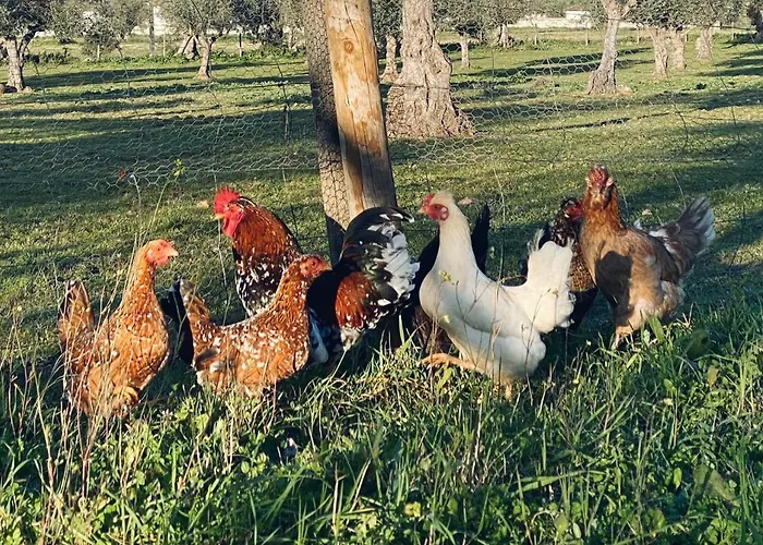 Quinta Da Tapada De Sao Pedro