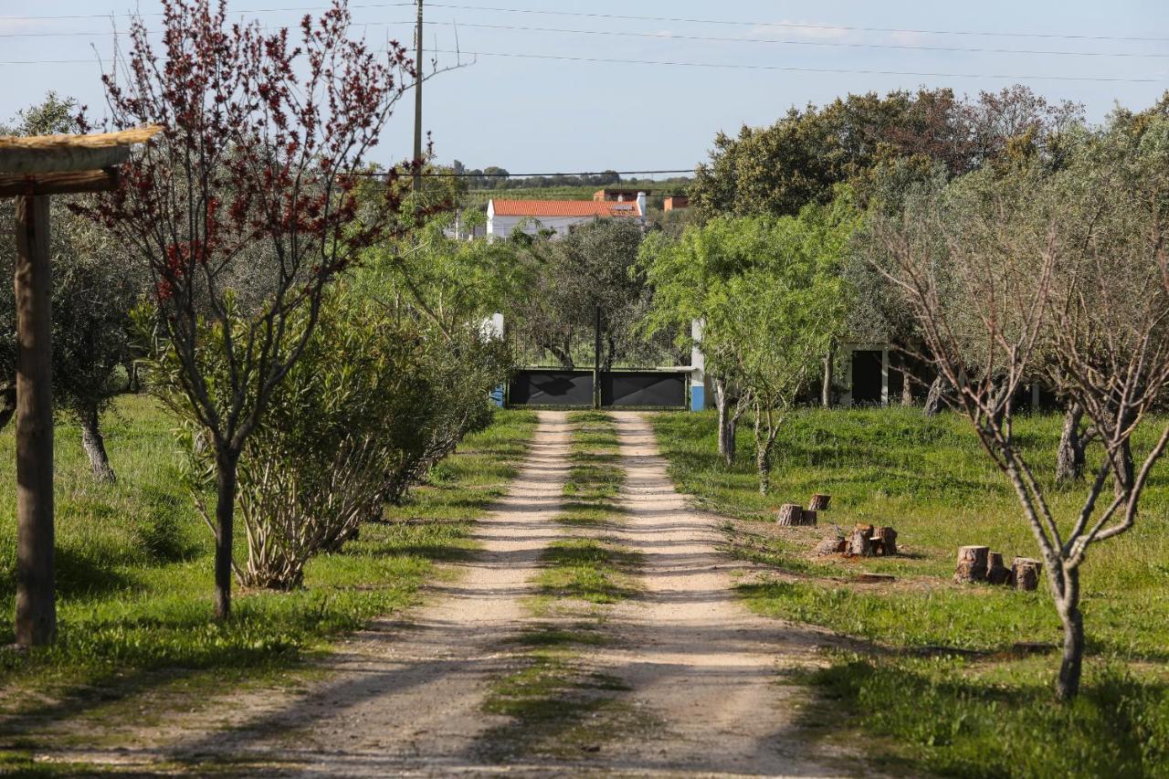 Quinta Da Tapada De Sao Pedro Farm stay