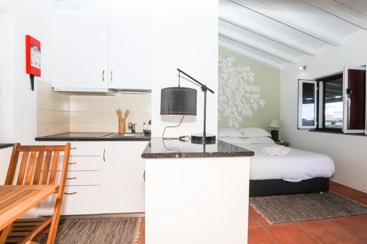 Farm stay Quinta Da Tapada De Sao Pedro Vimieiro (Evora)