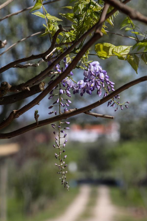 Quinta Da Tapada De Sao Pedro Farm stay *