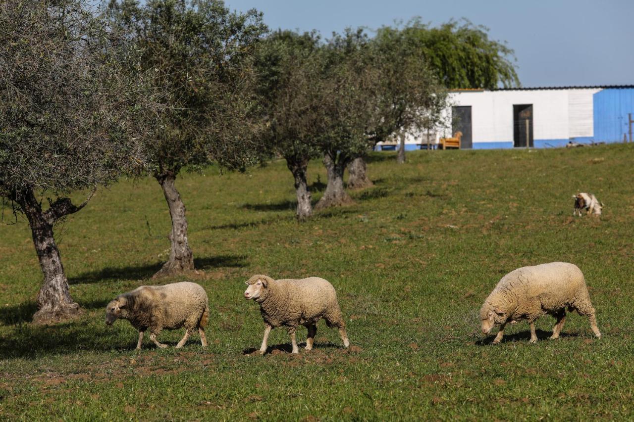 Quinta Da Tapada De Sao Pedro Farm stay *