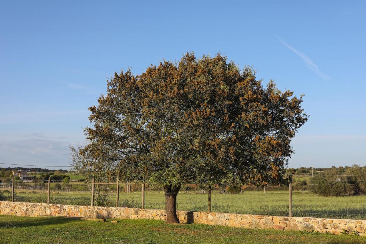 Quinta Da Tapada De Sao Pedro Farm stay Vimieiro (Evora)