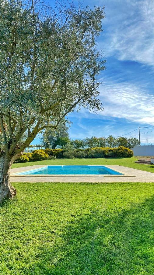 Farm stay Quinta Da Tapada De Sao Pedro Vimieiro (Evora)