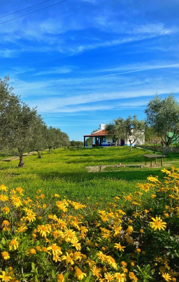 Quinta Da Tapada De Sao Pedro *
