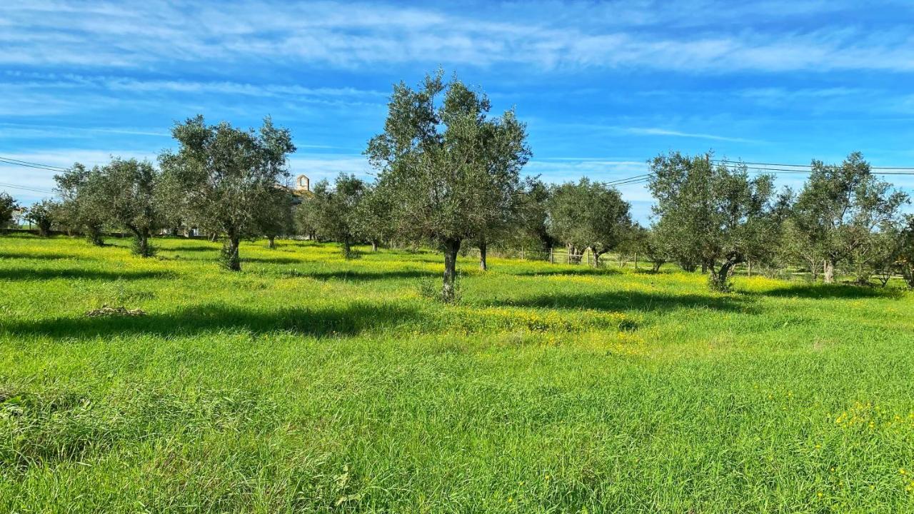 Farm stay Quinta Da Tapada De Sao Pedro *