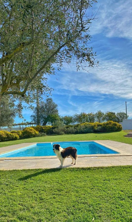 Quinta Da Tapada De Sao Pedro * Vimieiro (Evora)