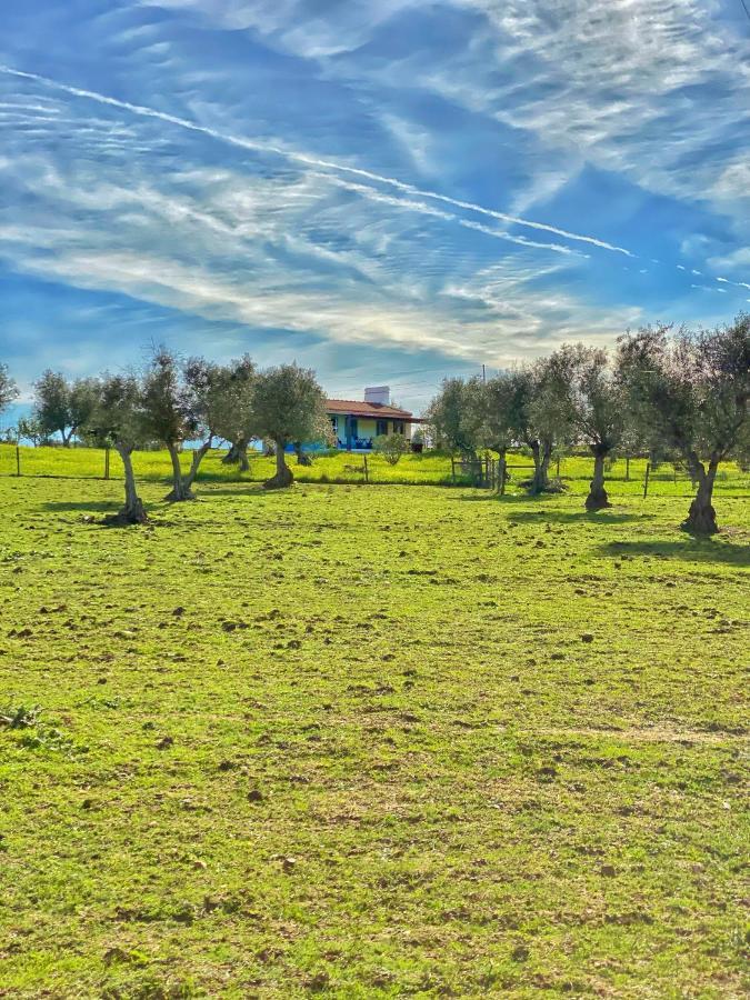 Farm stay Quinta Da Tapada De Sao Pedro *